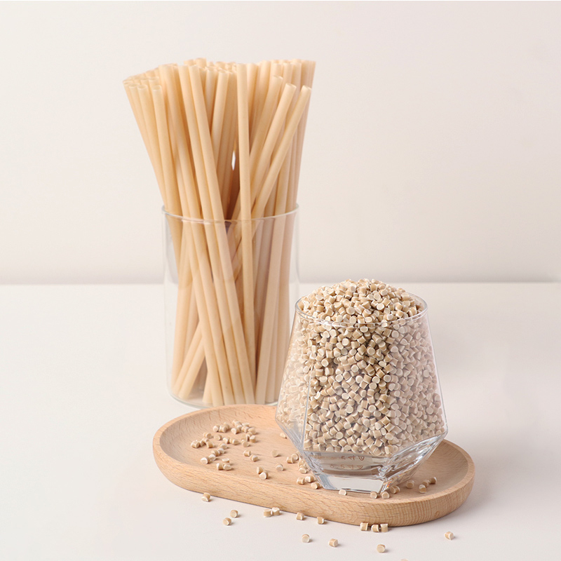 PBS Sugarcane Bagasse Straw Material (No PLA)