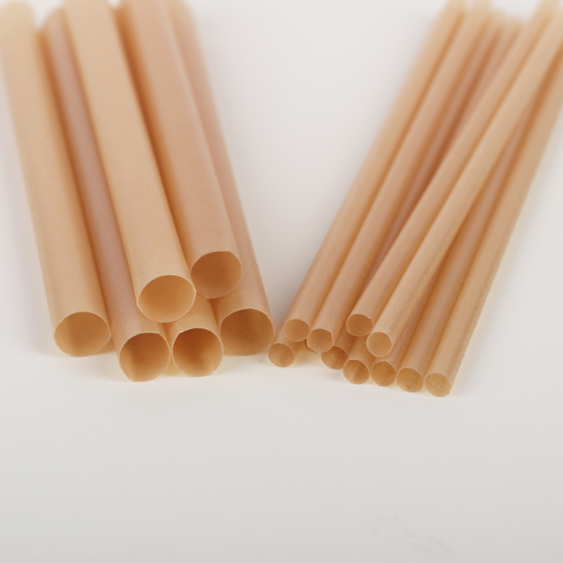 PLA Translucent Sugarcane Bagasse Straw