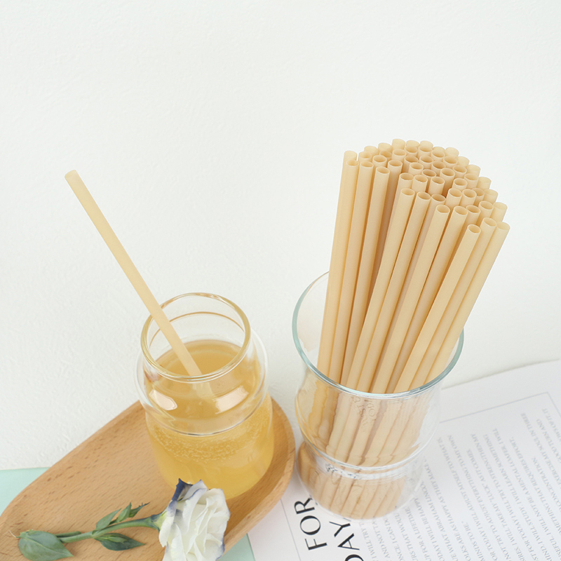 PHA Sugarcane Bagasse Straw
