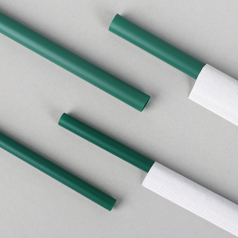 PLA Green Sugarcane Bagasse Straw