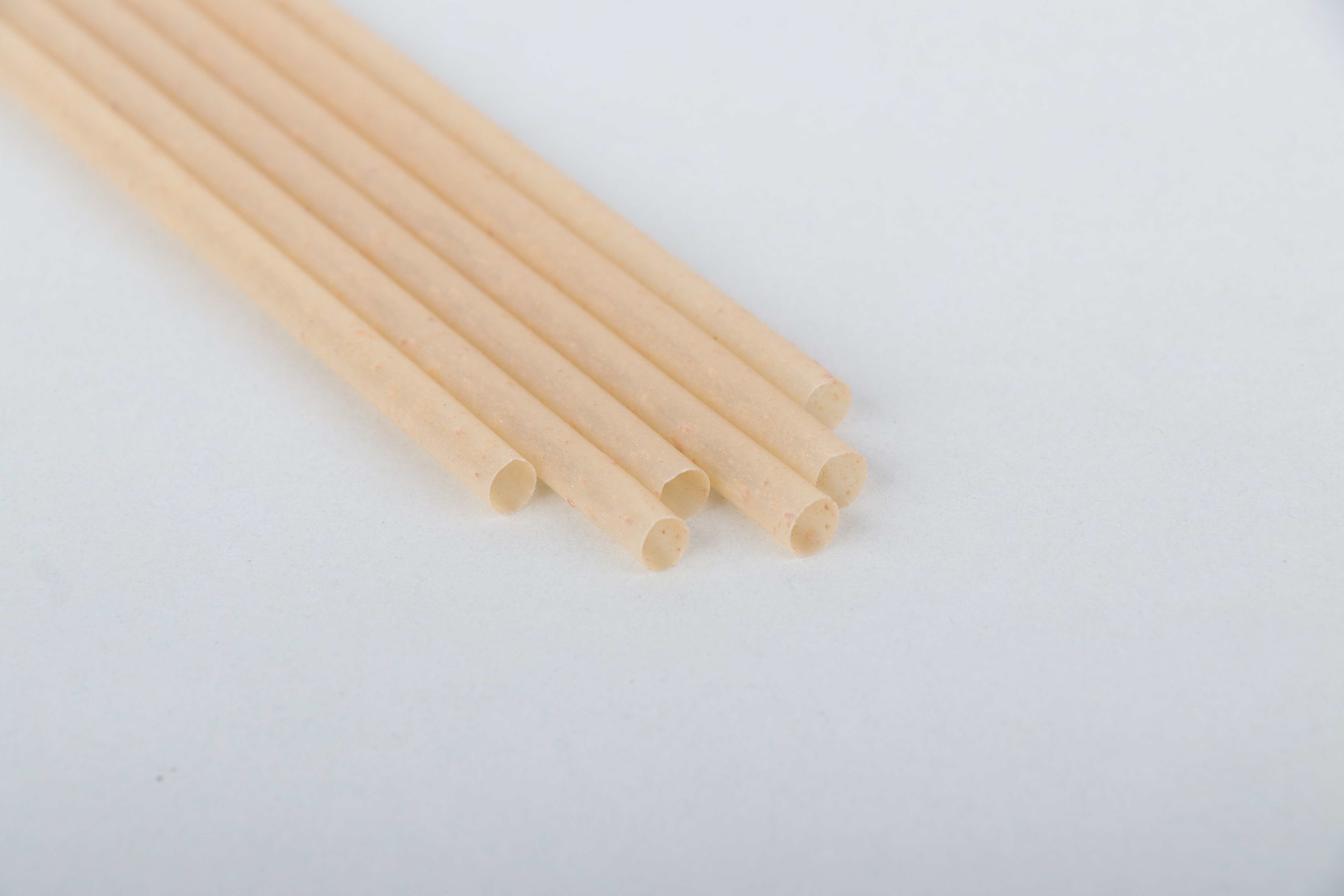 PLA agave biodegradable straw