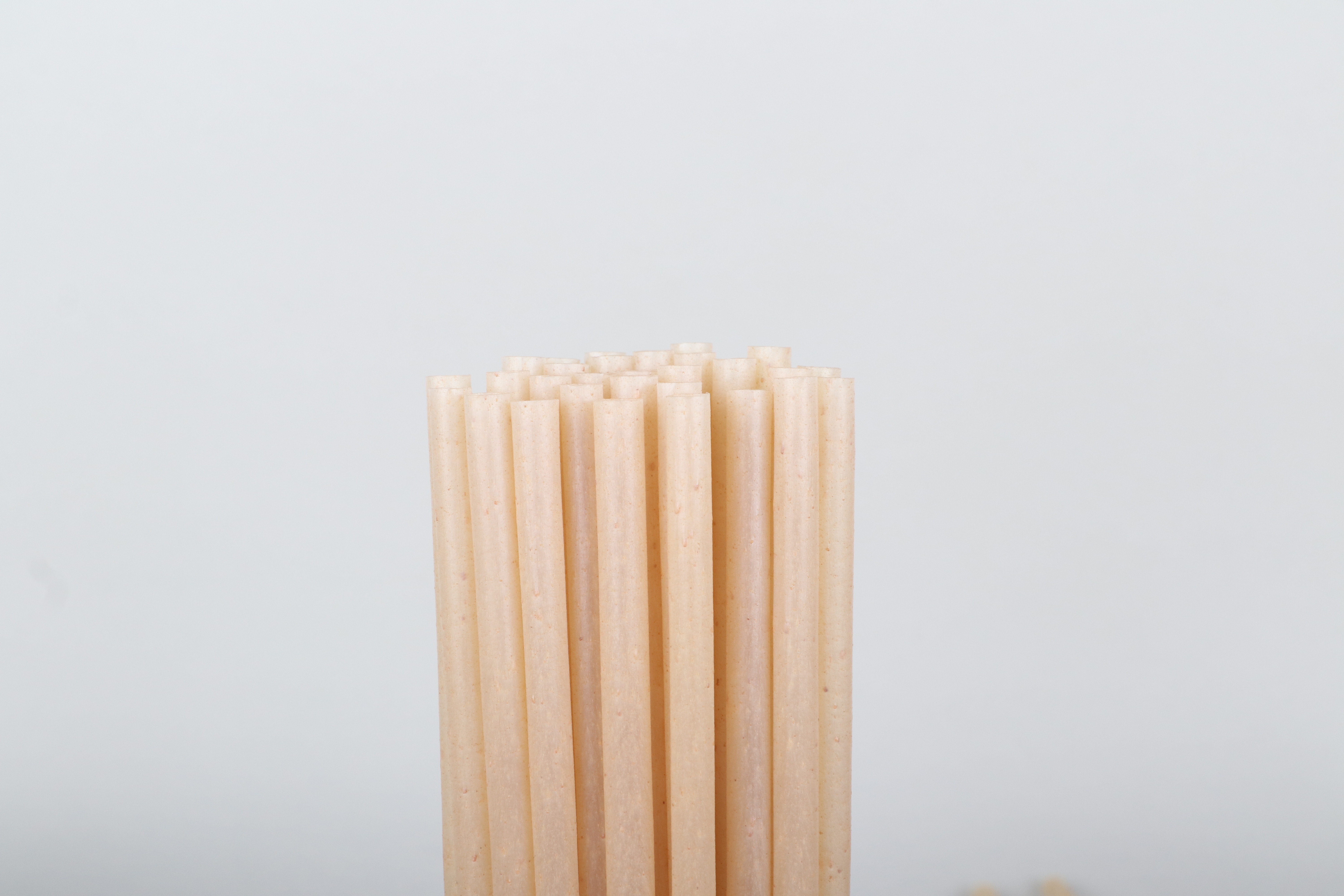 PLA agave straw