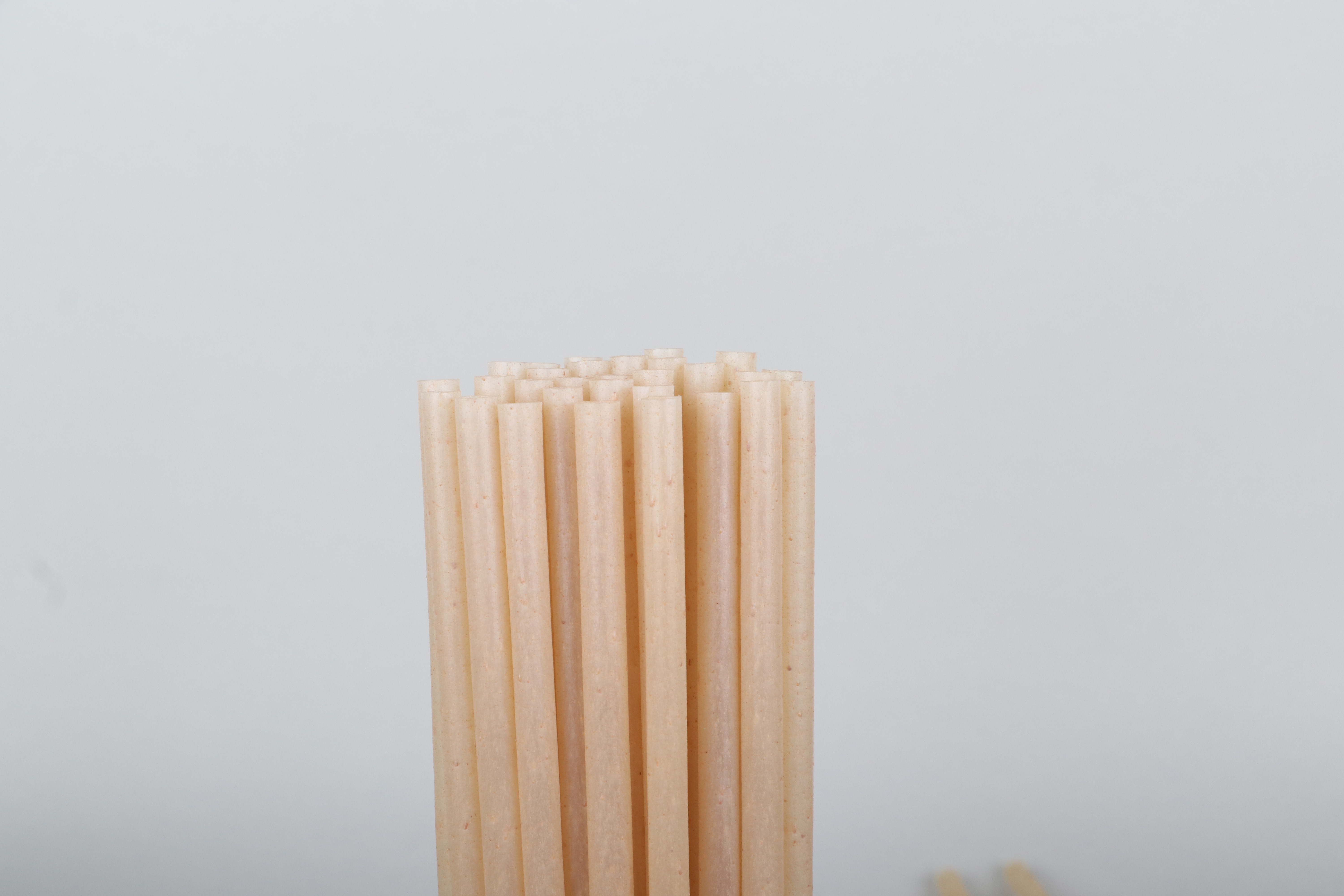 PLA agave straw